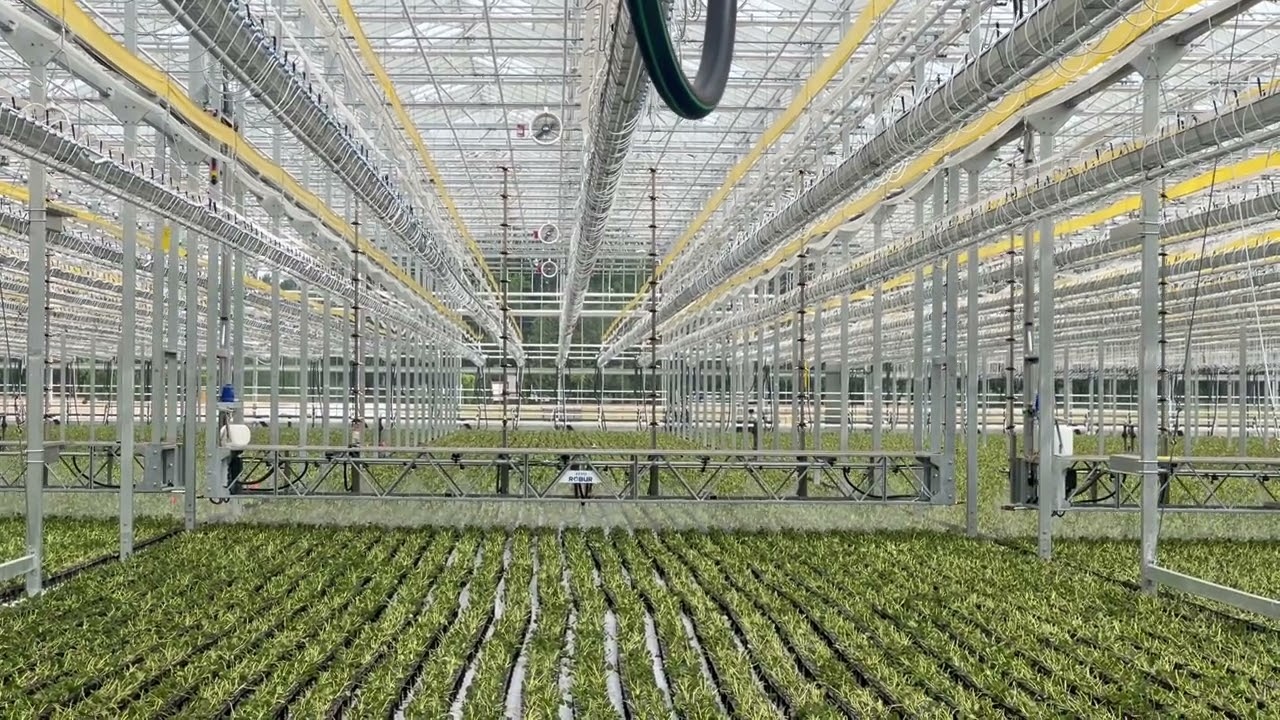 EZ Grow Farms Unveils Cutting-Edge Strawberry Propagation Facility